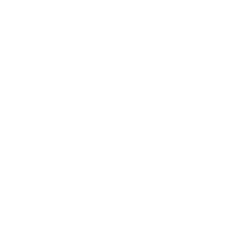 icon branchendialog